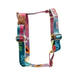 DOG-AHEAD-szelki-guard-dla-psa-SUMMERTIME-LETTERS-01.webp