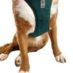 dog-ahead-szelki-bezuciskowe-velvet-boho-green-05.webp