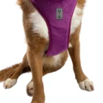 dog-ahead-szelki-bezuciskowe-velvet-purple-rain-06.webp