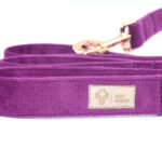 smycz-przepinana-purple-rain-2.jpg