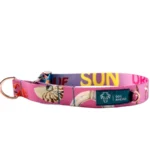 DOG-AHEAD-obroza-polzaciskowa-dla-psa-SUMMERTIME-01.webp