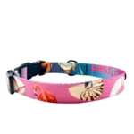 DOG-AHEAD-obroza-z-klamra-dla-psa-SUMMERTIME-01.webp
