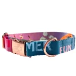 DOG-AHEAD-obroza-z-klamra-dla-psa-SUMMERTIME-03.webp