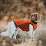 DOG-AHEAD-BLUZA-DLA-PSA-CZERWONA (6)