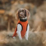 DOG-AHEAD-BLUZA-DLA-PSA-CZERWONA (7)