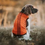 DOG-AHEAD-BLUZA-DLA-PSA-CZERWONA (8)