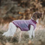 DOG-AHEAD-BLUZA-DLA-PSA-RÓZOWA (1)