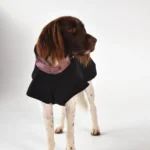 DOG-AHEAD-SOFTSHELL-kurtka-dla-psa-BOTANICA-08