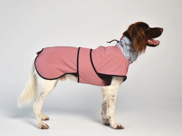 DOG-AHEAD-SOFTSHELL-kurtka-dla-psa-SEPTEMBER