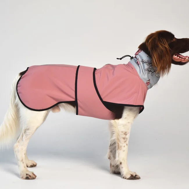 DOG-AHEAD-SOFTSHELL-kurtka-dla-psa-SEPTEMBER