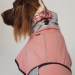 DOG-AHEAD-SOFTSHELL-kurtka-dla-psa-SEPTEMBER-04