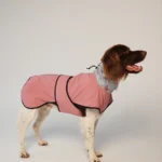 DOG-AHEAD-SOFTSHELL-kurtka-dla-psa-SEPTEMBER