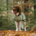 DOG-AHEAD-Softshell-dla-psa-PSYCHO-FOREST (1)