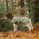 DOG-AHEAD-Softshell-dla-psa-PSYCHO-FOREST (2)