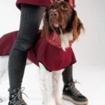 DOG-AHEAD-kurtka-dla-psa-SOFTSHELL-ROMANCE (3)