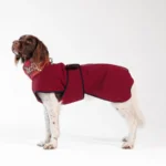 DOG-AHEAD-kurtka-dla-psa-SOFTSHELL-ROMANCE