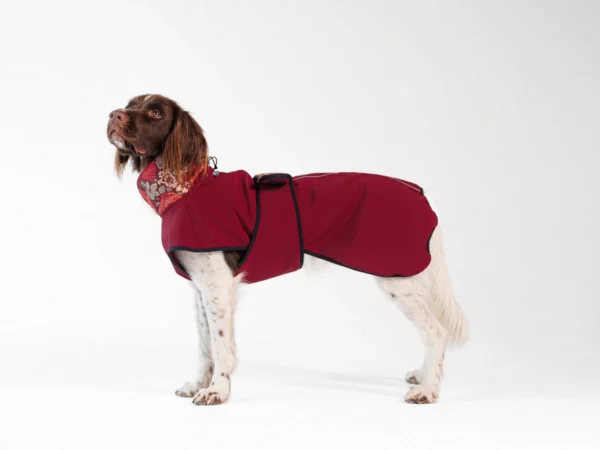 DOG-AHEAD-kurtka-dla-psa-SOFTSHELL-ROMANCE