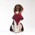 DOG-AHEAD-kurtka-dla-psa-SOFTSHELL-ROMANCE (6)