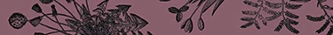 Botanica Image