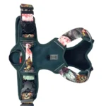 DOG-AHEAD-szelki-Offroad-JAVA-03