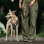 DOG-AHEAD-szelki-Offroad-Java-05
