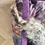 DOG-AHEAD-legowisko-kanapa-MAGIC-JAVA (1)