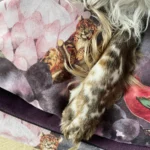 DOG-AHEAD-legowisko-kanapa-MAGIC-JAVA (3)