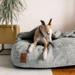 DOG-AHEAD-Legowisko-norka-SOFT-RETRO-MINT-LEMONADE (1)