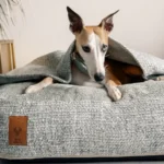 DOG-AHEAD-Legowisko-norka-SOFT-RETRO-MINT-LEMONADE (11)