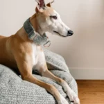 DOG-AHEAD-Legowisko-norka-SOFT-RETRO-MINT-LEMONADE (6)