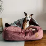 DOG-AHEAD-Legowisko-norka-VELVET-SEPTEMBER (3)
