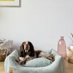 DOG-AHEAD-legowisko-kanapa-MAGIC-SOFT-RETRO-MINT-LEMONADE (5)