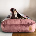 DOG-AHEAD-legowisko-norka-SEPTEMBER