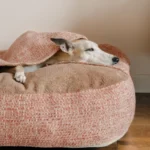 DOG-AHEAD-legowisko-norka-SOFT-RETRO-TEDDY-BEAR-13