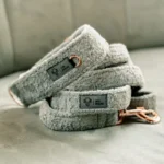 DOG-AHEAD-obroża-dla-chartów-SOFT-RETRO-MINT-LEMONADE-12