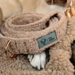 DOG-AHEAD-obroża-dla-chartów-SOFT-RETRO-TEDDY-BEAR