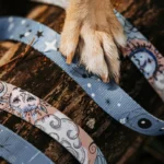 DOG-AHEAD-smycz-przepinana-SKY-05