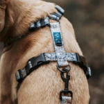 DOG-AHEAD-szelki-bezuciskowe-SKY