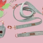 DOG-AHEAD-zestaw-ELEGANT-HOUND-02