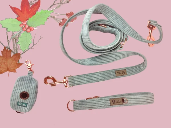 Zestaw Elegant Hound | Obroża + Smycz + Etui