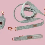 Zestaw dla psa - smycz obroża etui | DOG AHEAD