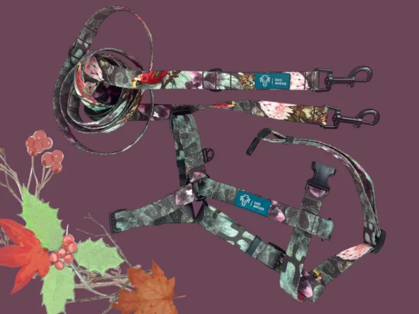 Zestaw Mini Dog Big Heart | Szelki + Smycz