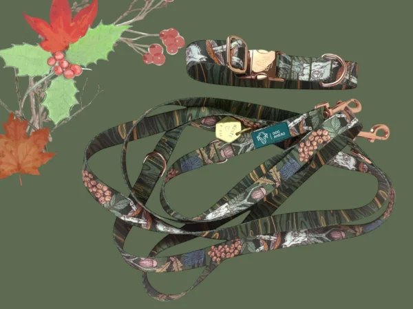 Zestaw Must Have | Obroża + Smycz + Adresówka