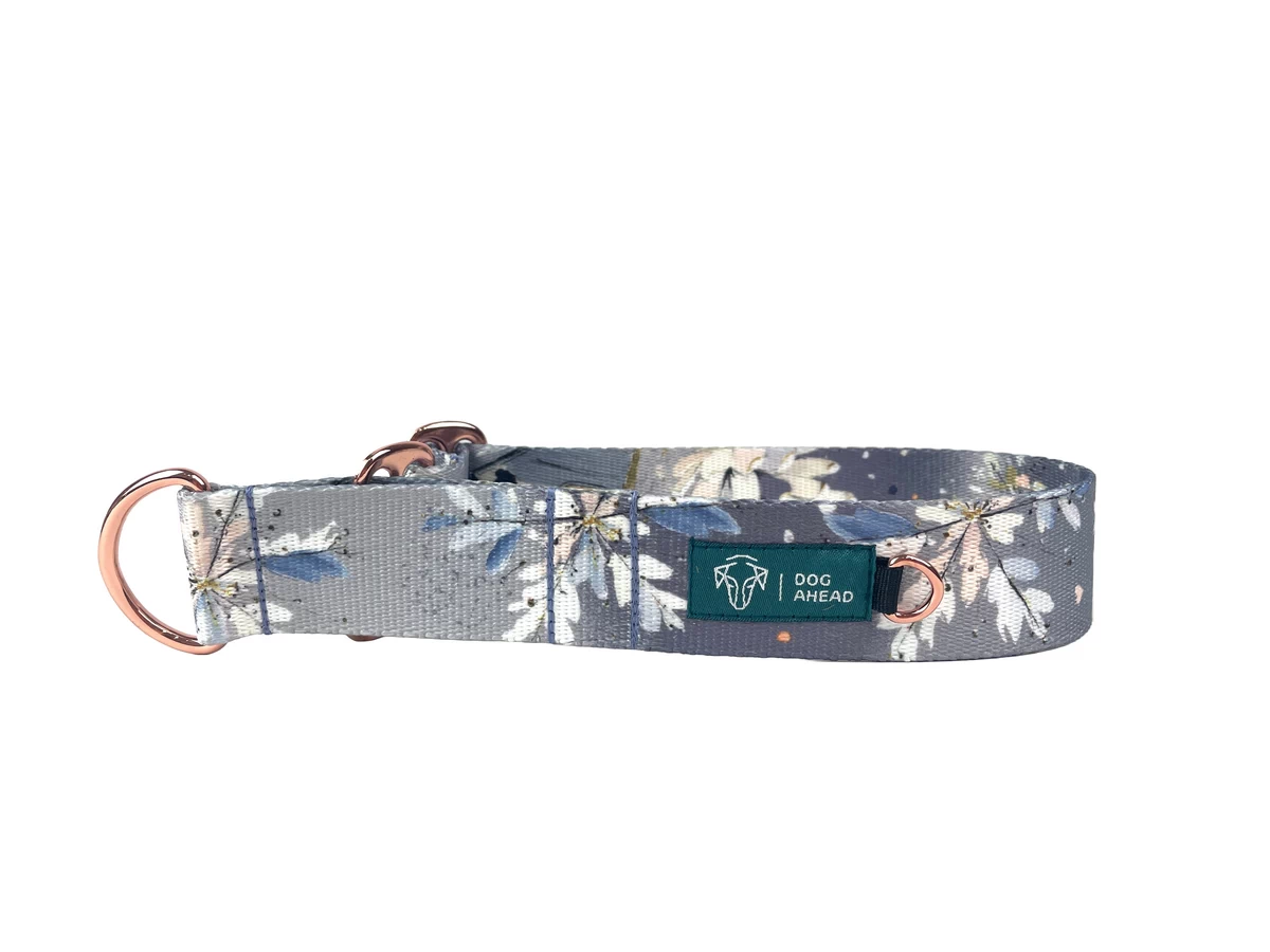 DOG-AHEAD-obroża-dla-charta-DECEMBER-NIGHT-01