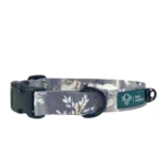 DOG-AHEAD-obroża-z-klamrą-DECEMBER-NIGHT-01