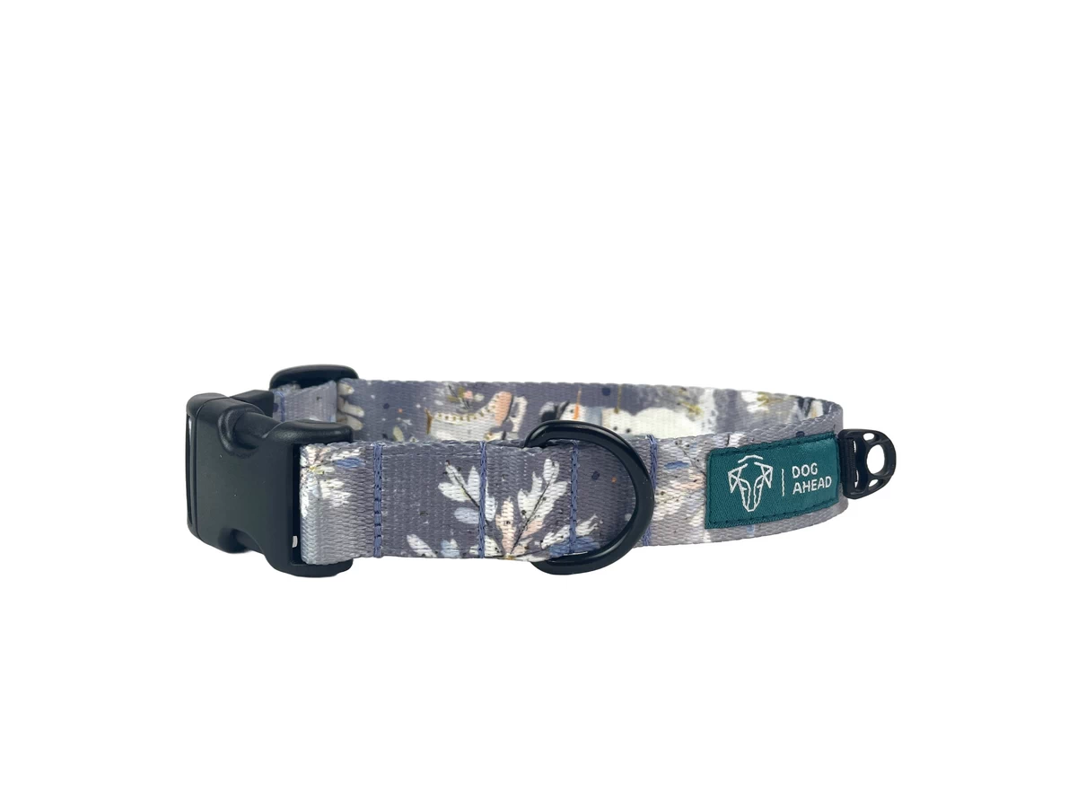 DOG-AHEAD-obroża-z-klamrą-DECEMBER-NIGHT-01