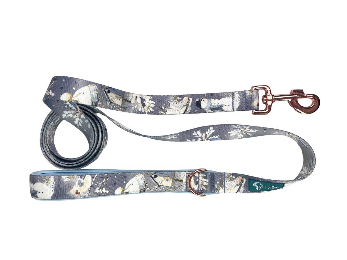 DOG-AHEAD-smycz-miejska-DECEMBER-02