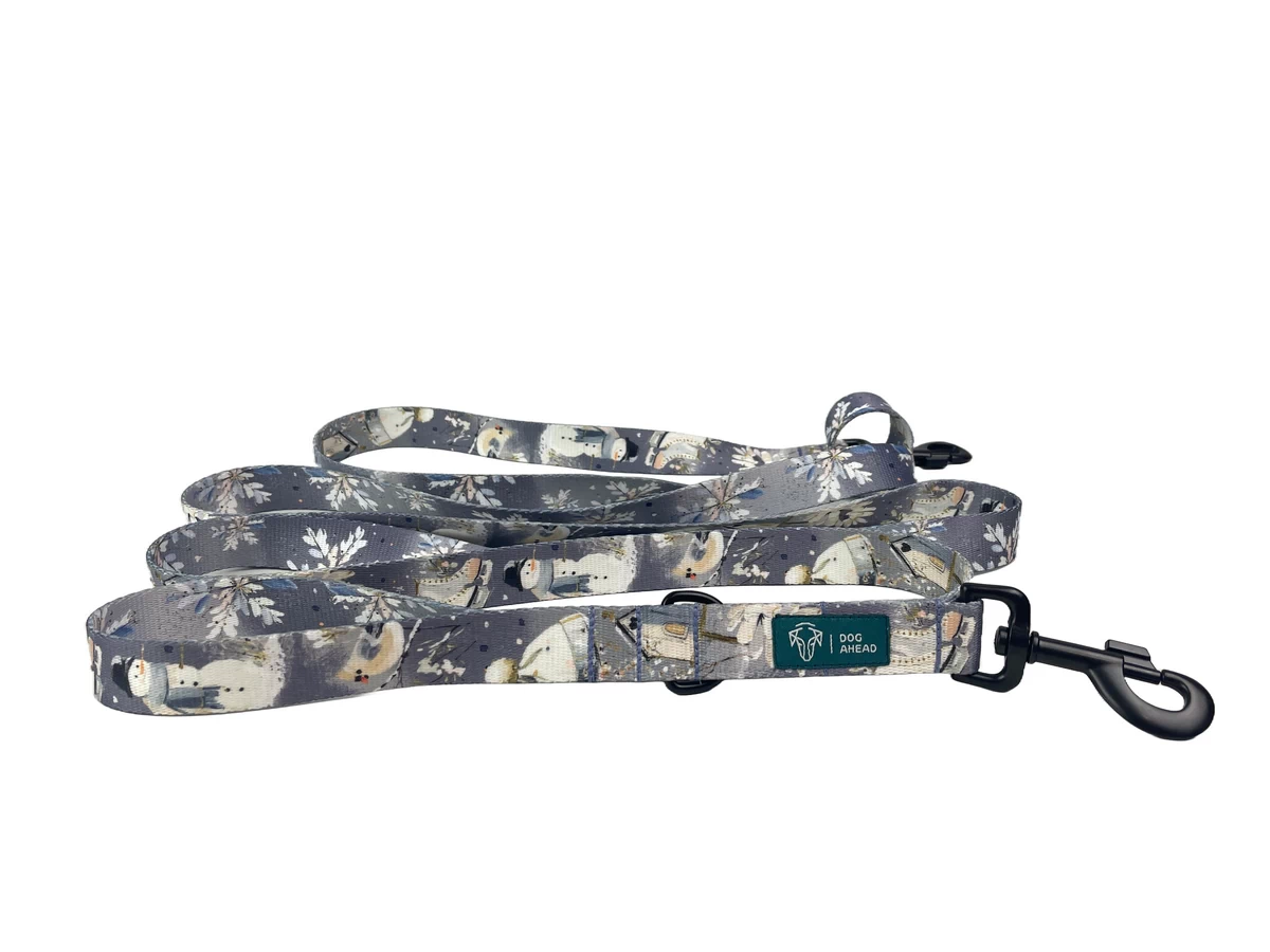 DOG-AHEAD-smycz-przepinana-DECEMBER-01