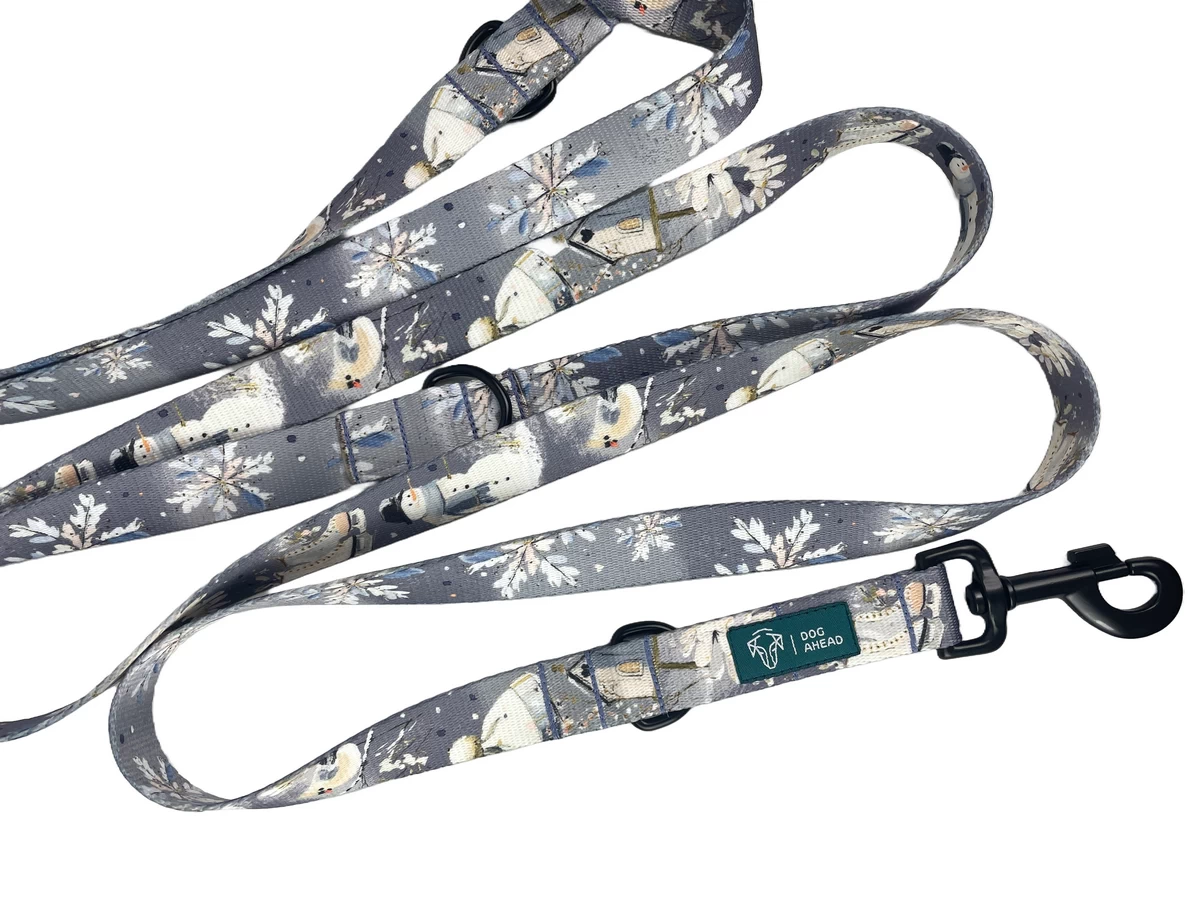 DOG-AHEAD-smycz-przepinana-DECEMBER-02