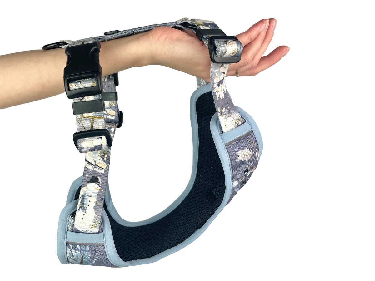 DOG-AHEAD-szelki-bezuciskowe-DECEMBER-01